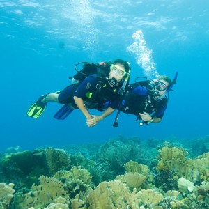 Padi discover scuba diving