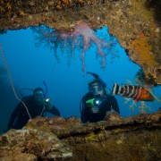 Padi wreck diver