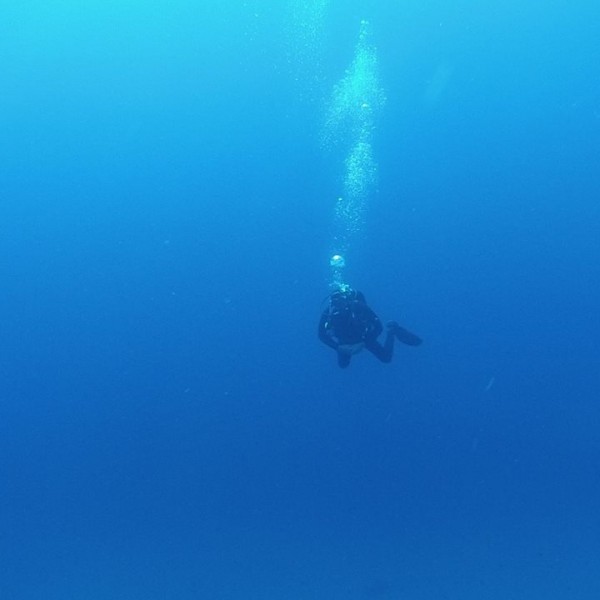 Diver
